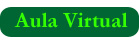 Aula Virtual
